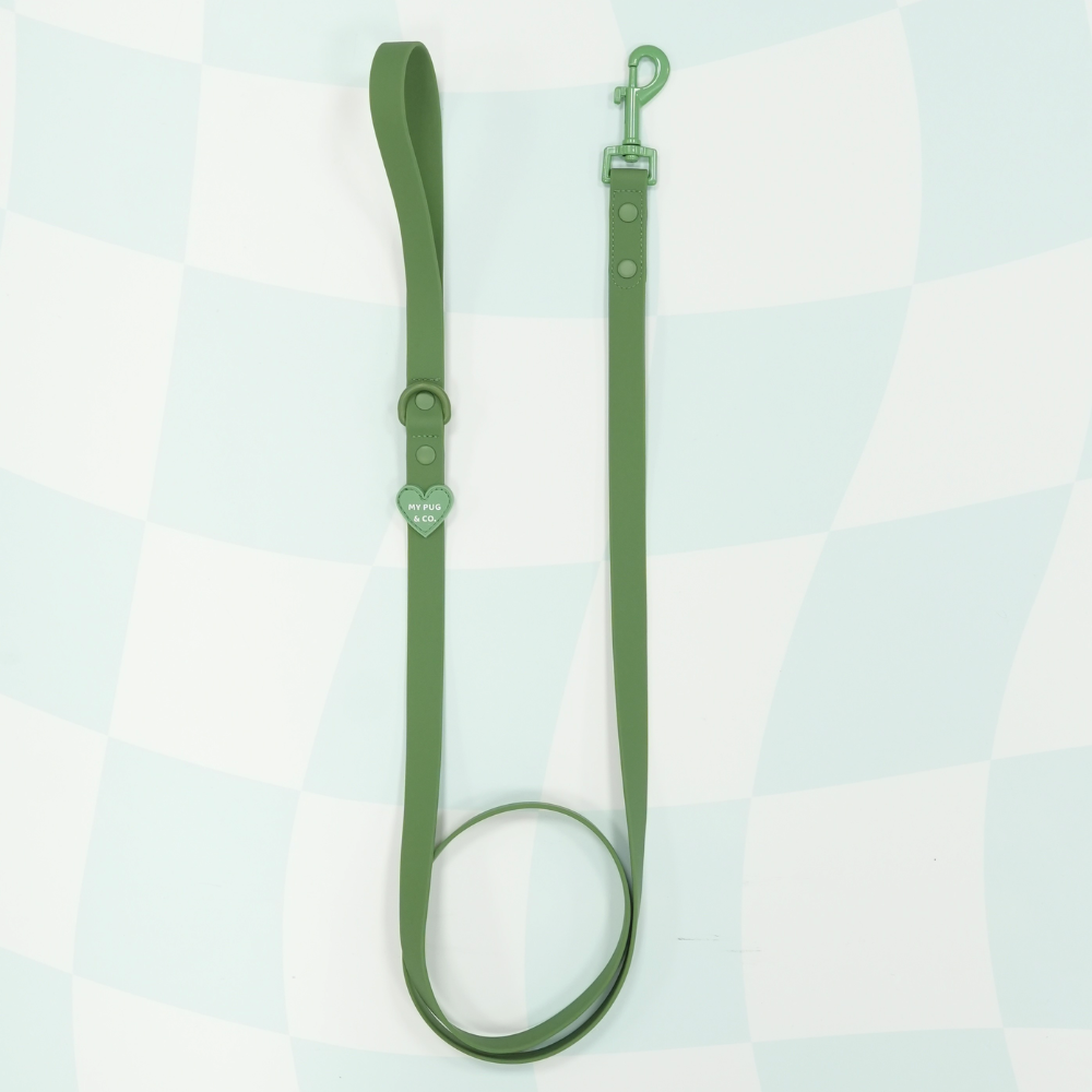 Correa Waterproof Verde
