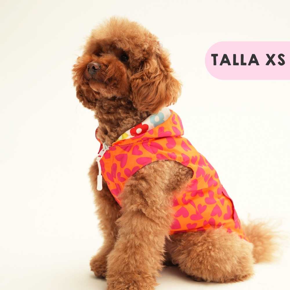 Hearts and Flowers Raincoat by Agatha Ruiz de la Prada