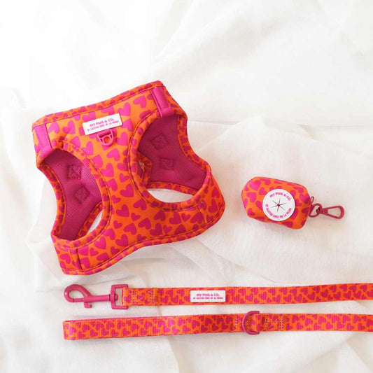 Pack Arnés Body Corazones by Agatha Ruiz de la Prada