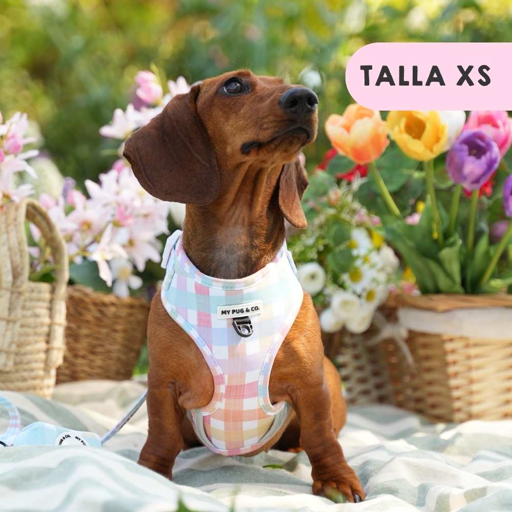 Arnés Ajustable Spring Picnic