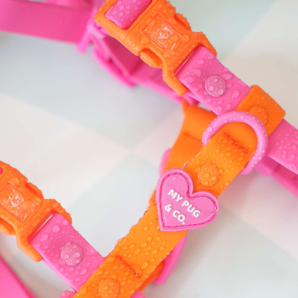 Adjustable Waterproof Harness Pink - Orange