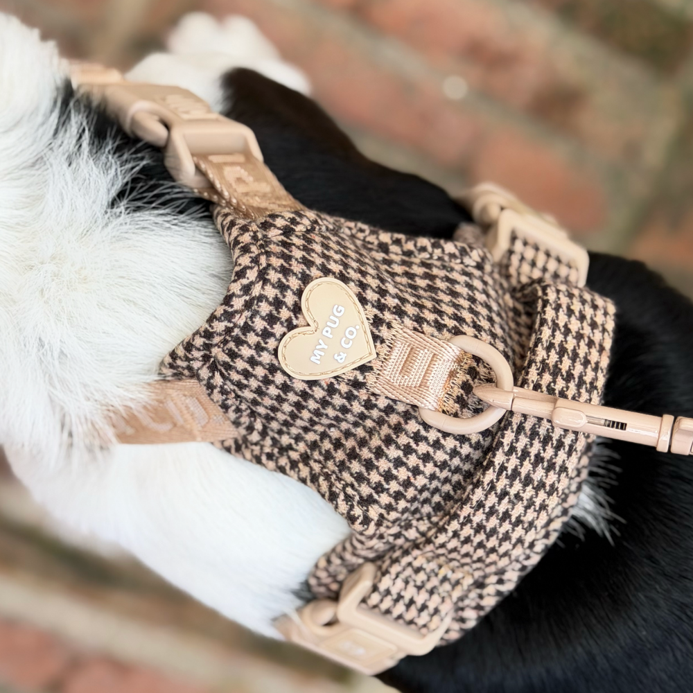 Arnés Todoterreno Pata de Gallo