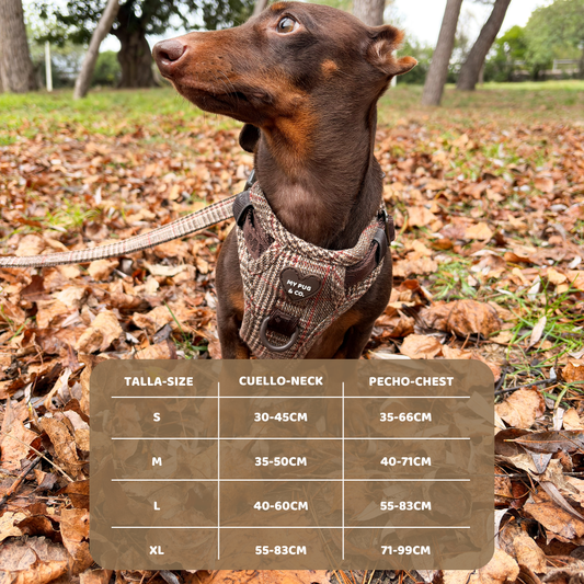 Arnés Todoterreno Tartán