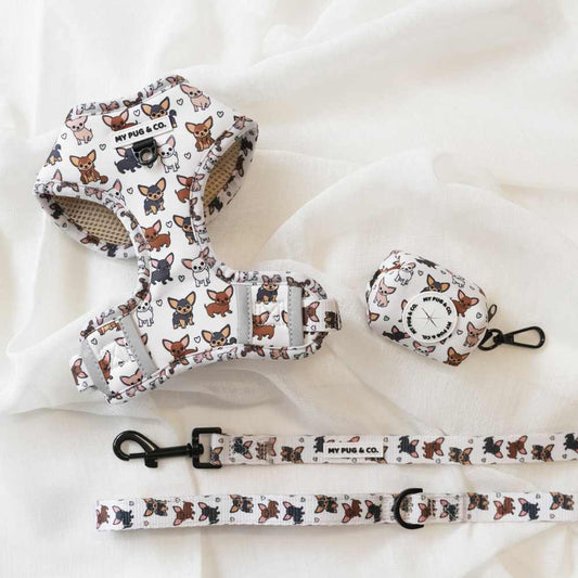 Pack Arnés Ajustable Chihuahua