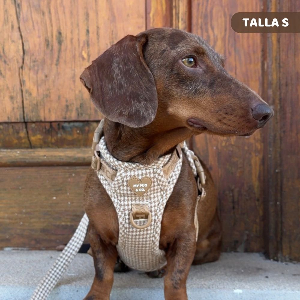 Arnés todoterreno Pata de gallo Caramel para perros de My Pug & Co