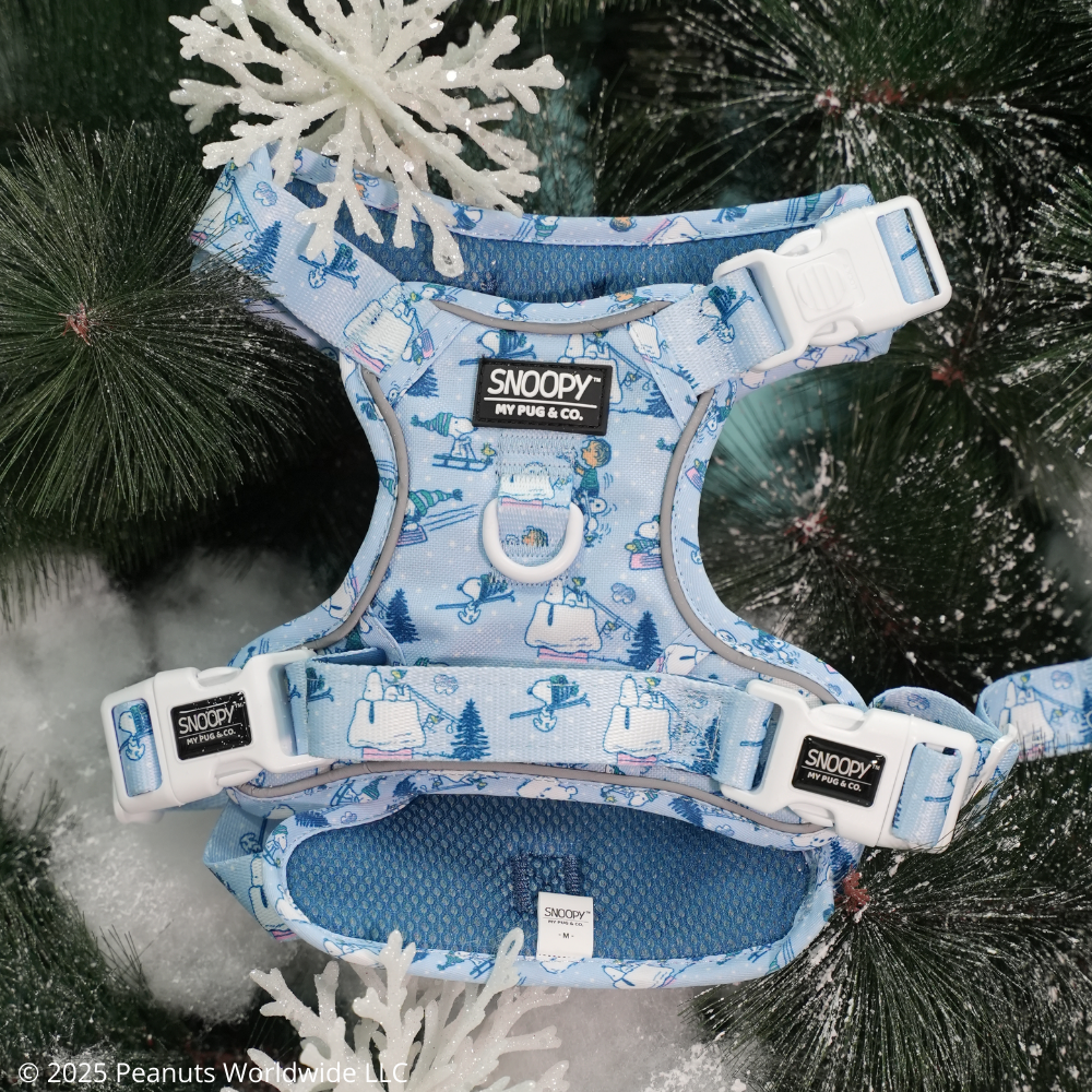 Snoopy™️ Snow All-Terrain Harness