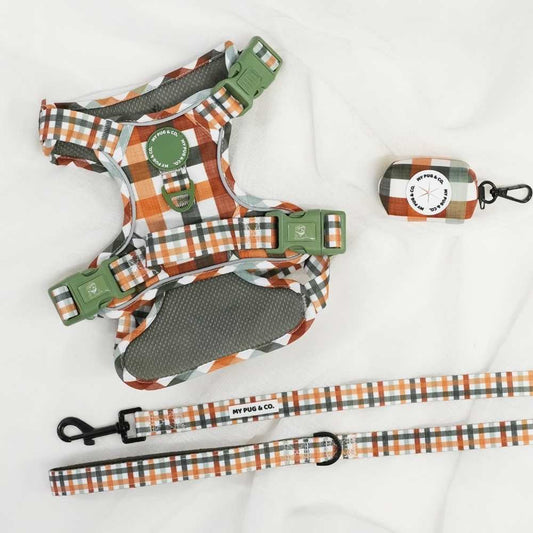 Autumn Picnic All-Terrain Harness Pack