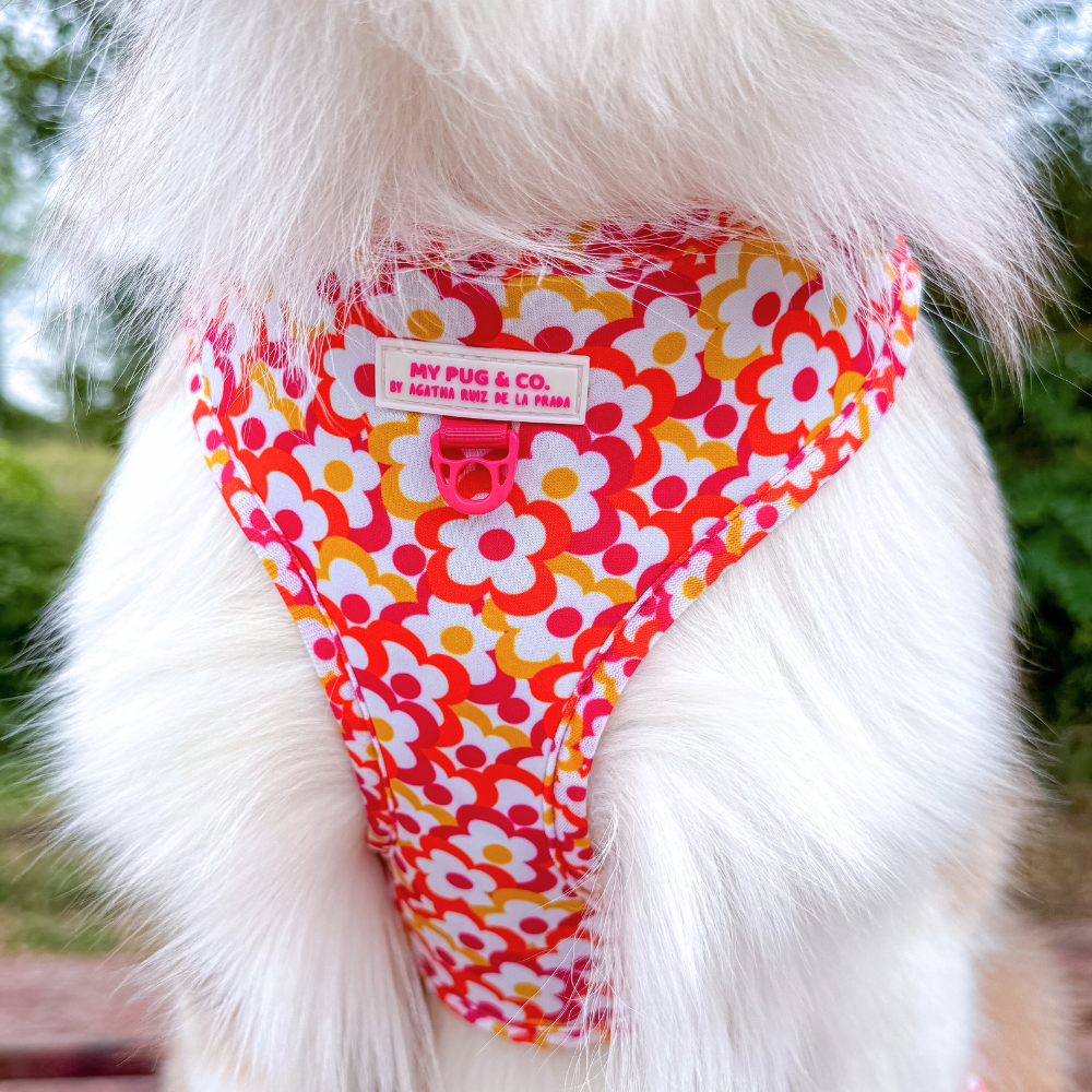 Arnés Ajustable Flores Pop by Agatha Ruiz de la Prada