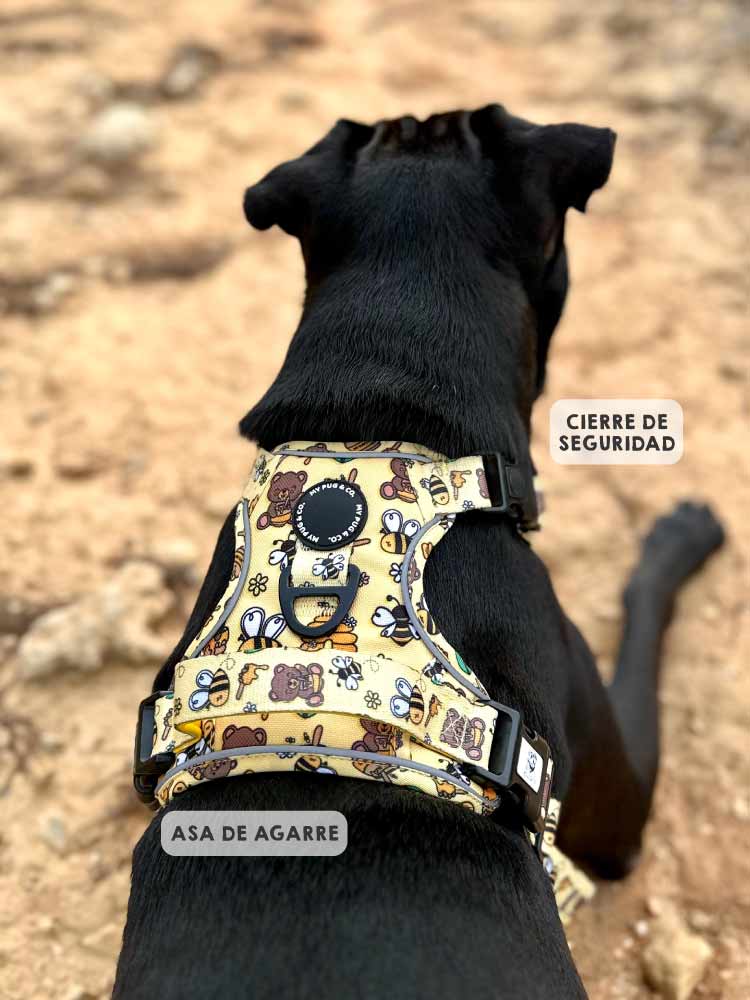 Arnés Todoterreno Honey - MyPug&Co