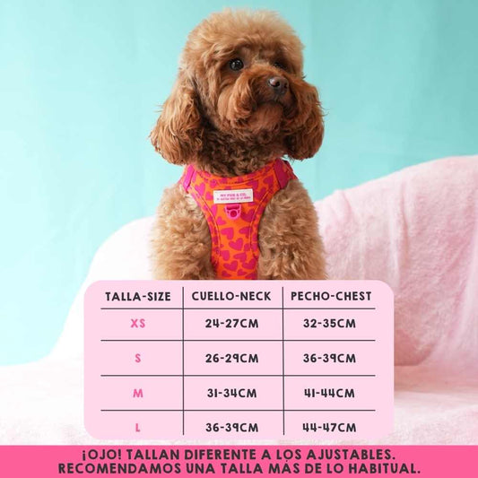 Pack Arnés Body Corazones by Agatha Ruiz de la Prada