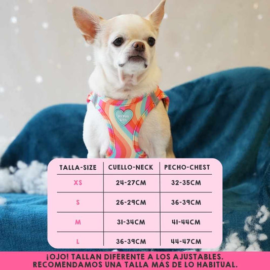 Lollipop Step In Harness