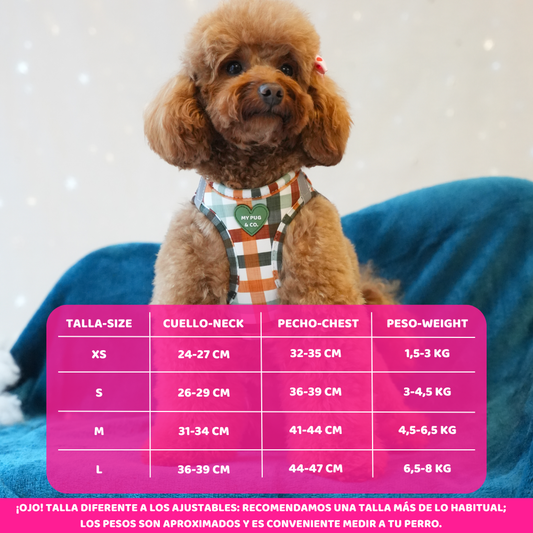 Arnés Body Autumn Picnic