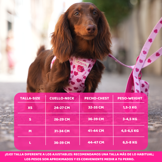 Arnés Body Beso by Agatha Ruiz de la Prada