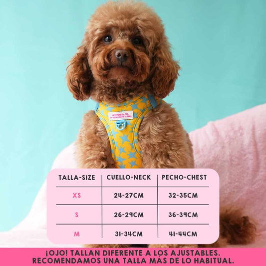 Stars harness Step-In My Pug & Co by Agatha Ruiz de la Prada