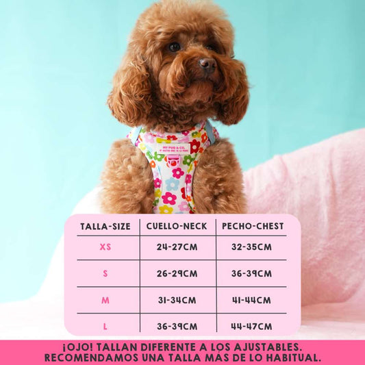Flowers Harness Step In My Pug & Co by Agatha Ruiz de la Prada