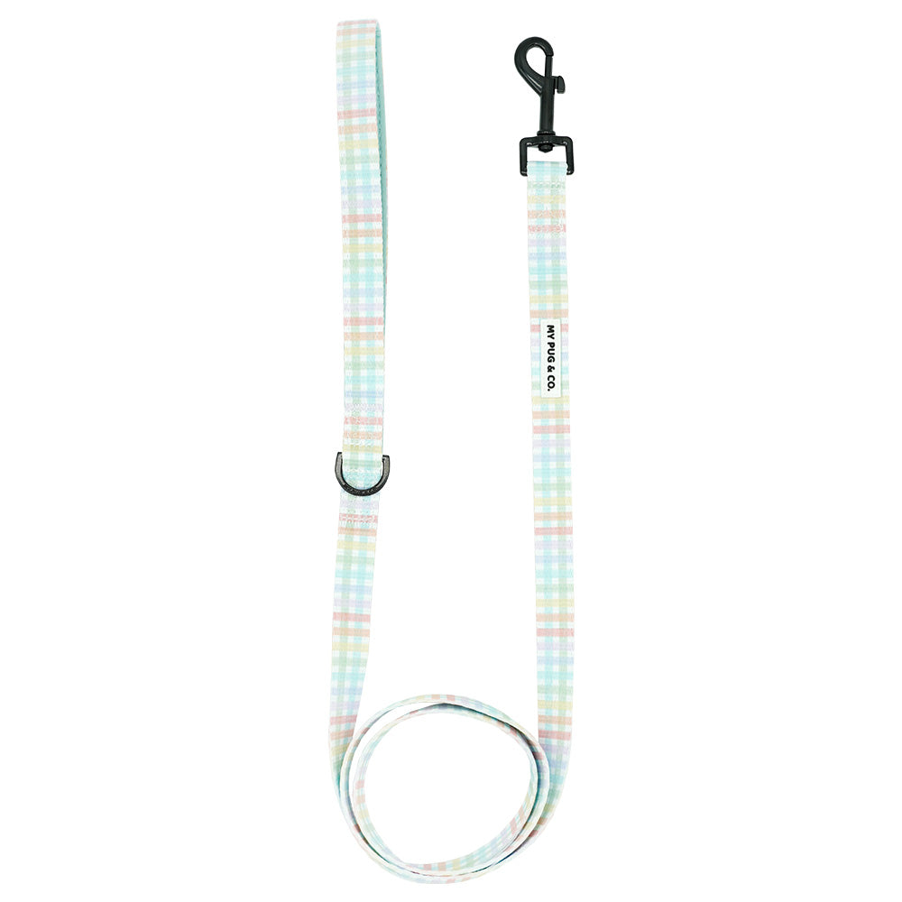 Correa Spring Picnic