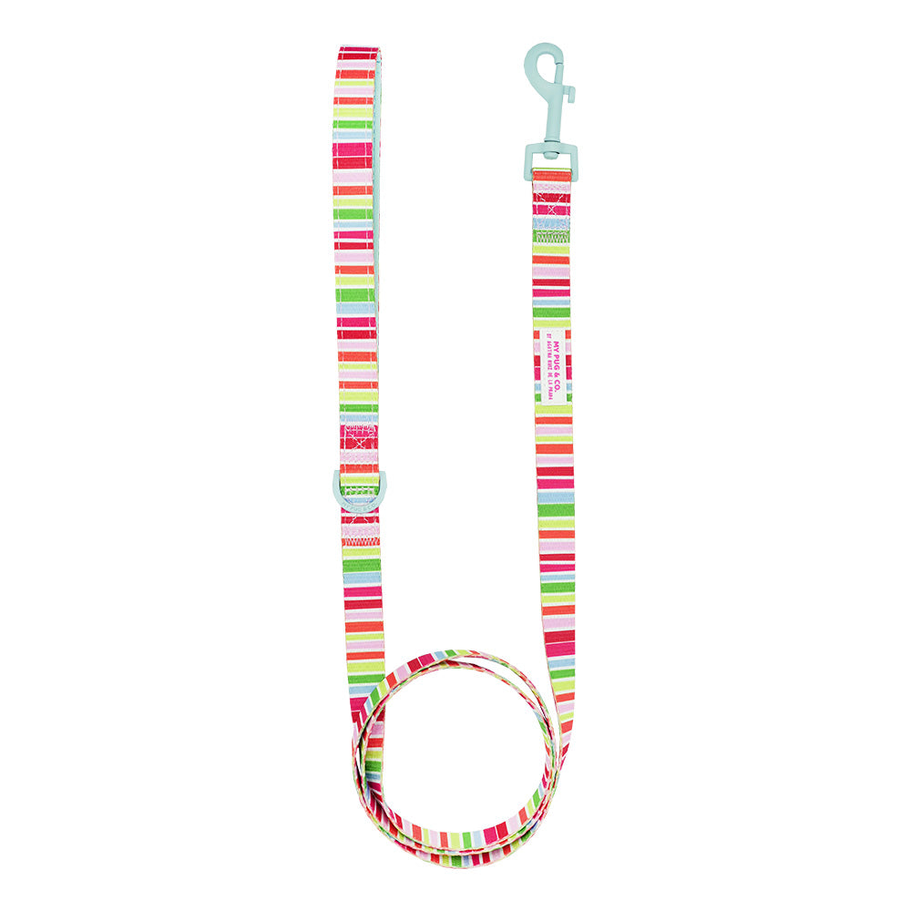 Rainbow Strap by Agatha Ruiz de la Prada