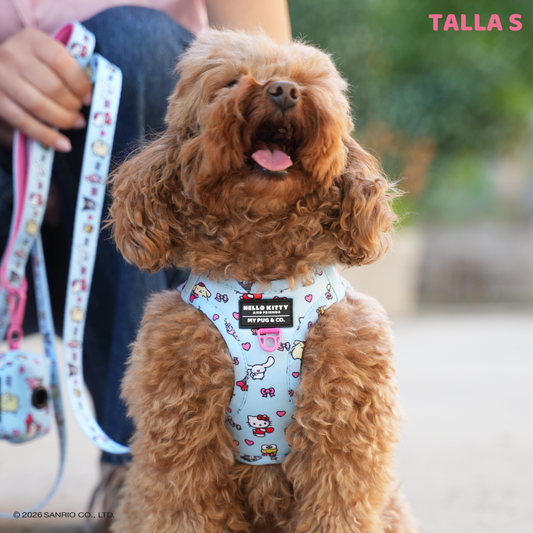 Step-in Hundegeschirr von Hello Kitty and Friends