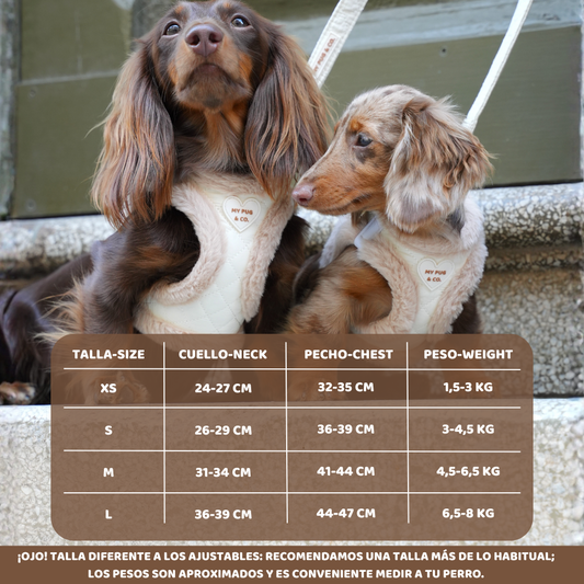 Arnés Body Teddy Luxe