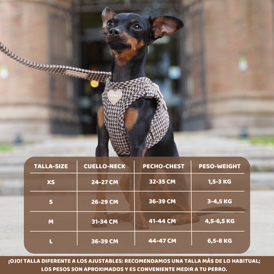 Arnés Body Pata de gallo