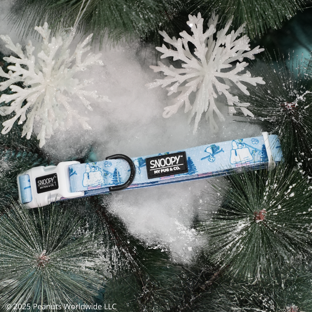 Collar Snoopy™️ Snow