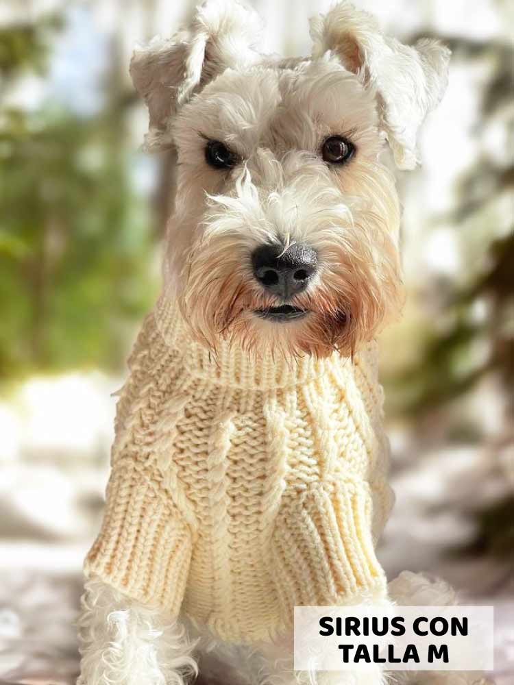 Jersey Crema - MyPug&Co