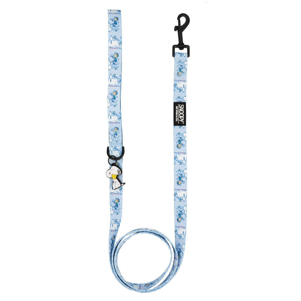 Correa Snoopy™️ Snow