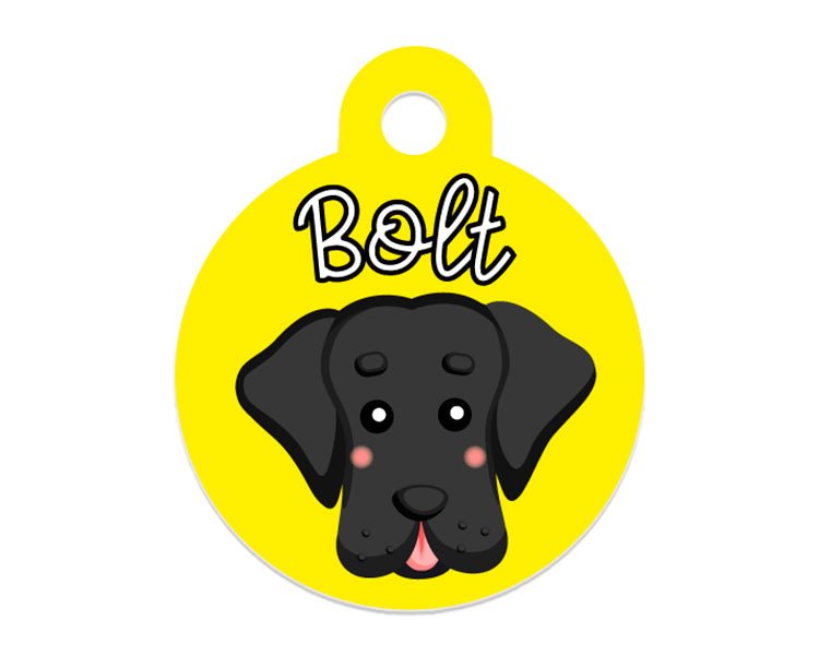 Chapas Dog-Retrato - MyPug&Co
