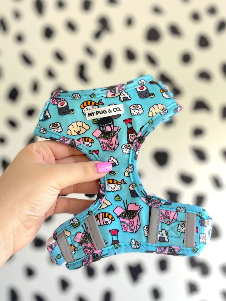 Arnés Ajustable Sushi - MyPug&Co