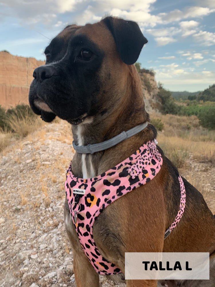 Arnés Ajustable Safari - MyPug&Co