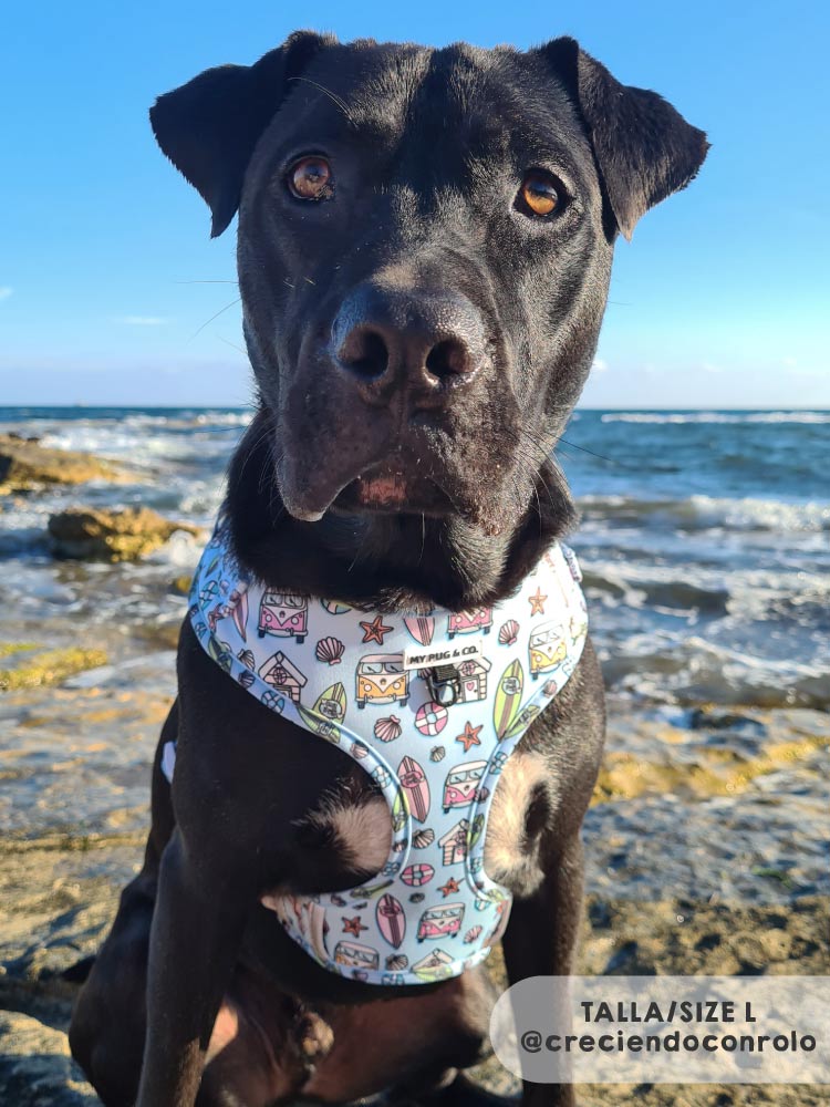Arnés Ajustable Surf - MyPug&Co