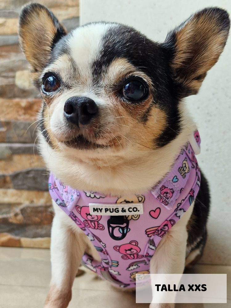 Arnés Ajustable Teddy Bears - MyPug&Co