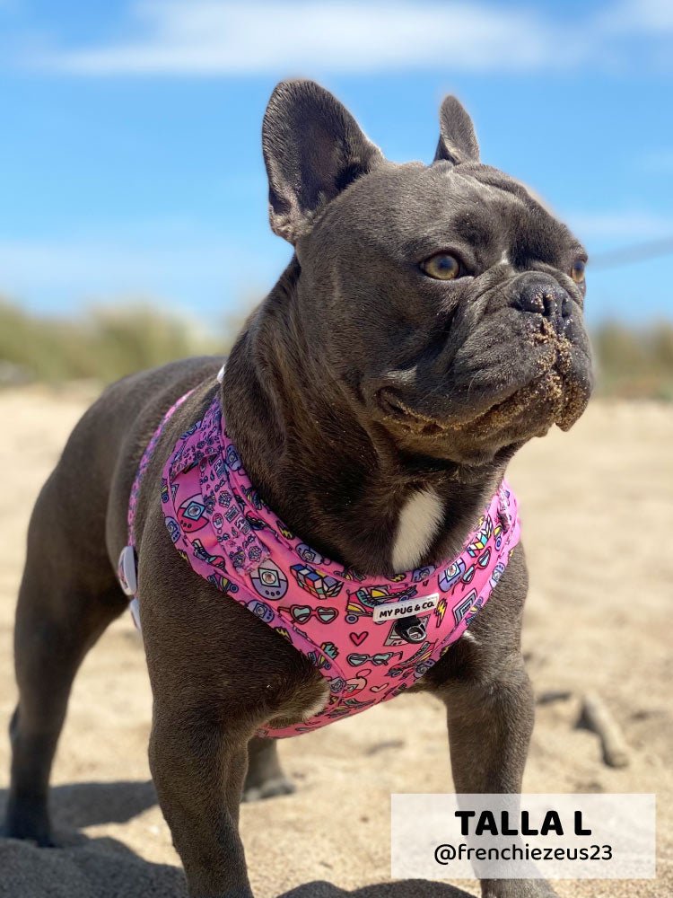 Arnés Ajustable 90’s Baby - MyPug&Co
