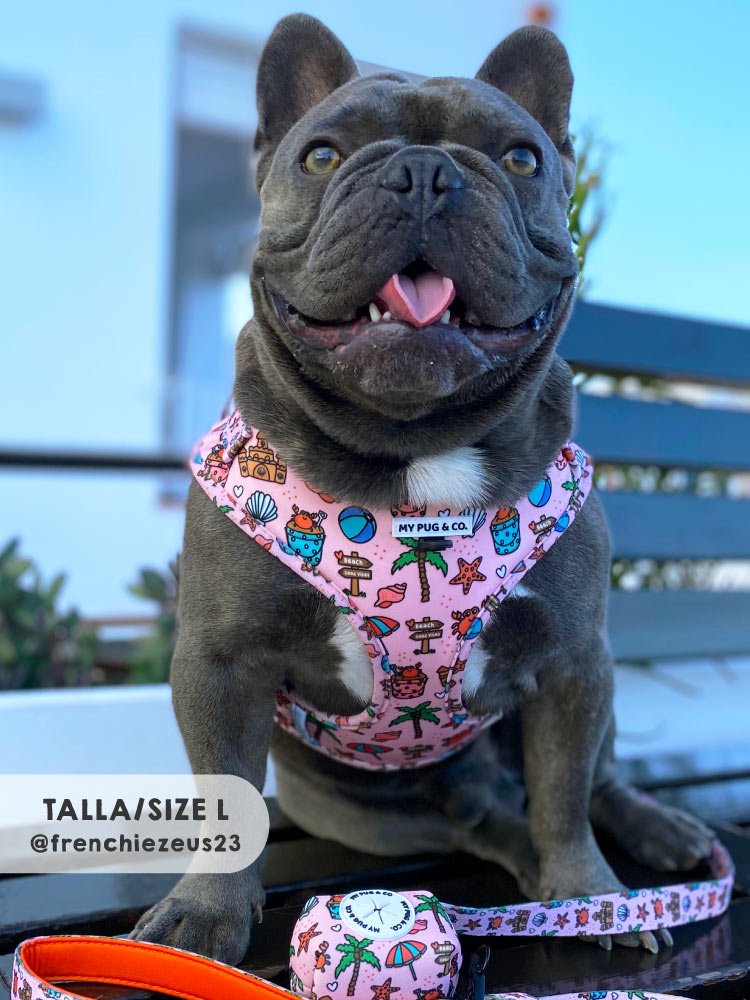 Arnés Ajustable Beach Day - MyPug&Co