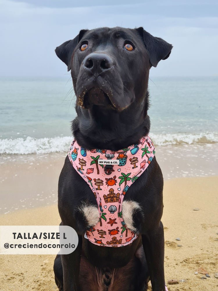Arnés Ajustable Beach Day - MyPug&Co