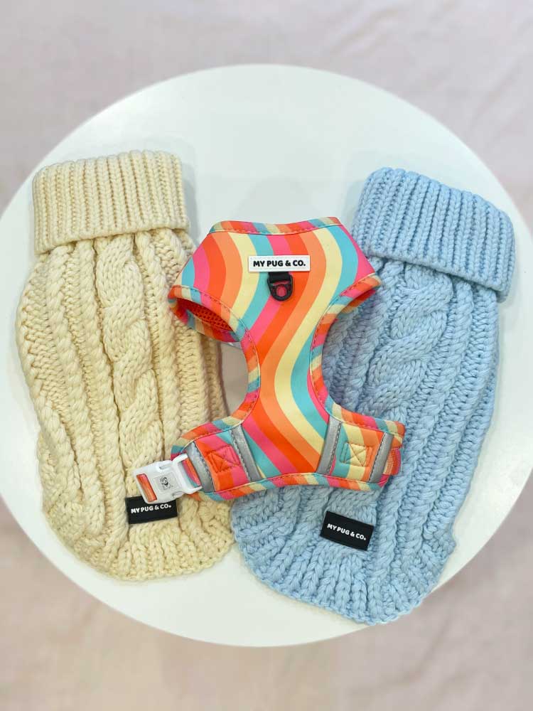 Jersey Azul - MyPug&Co