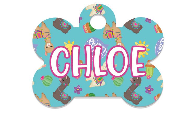 Chapas Hueso - MyPug&Co