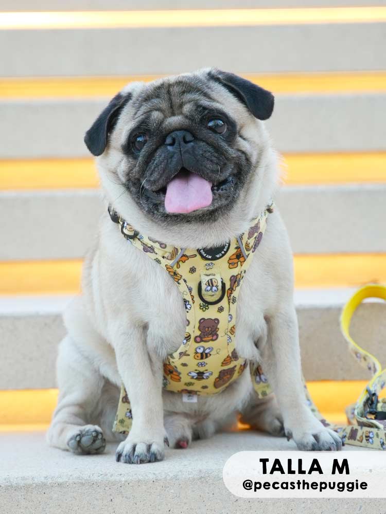 Arnés Todoterreno Honey - MyPug&Co