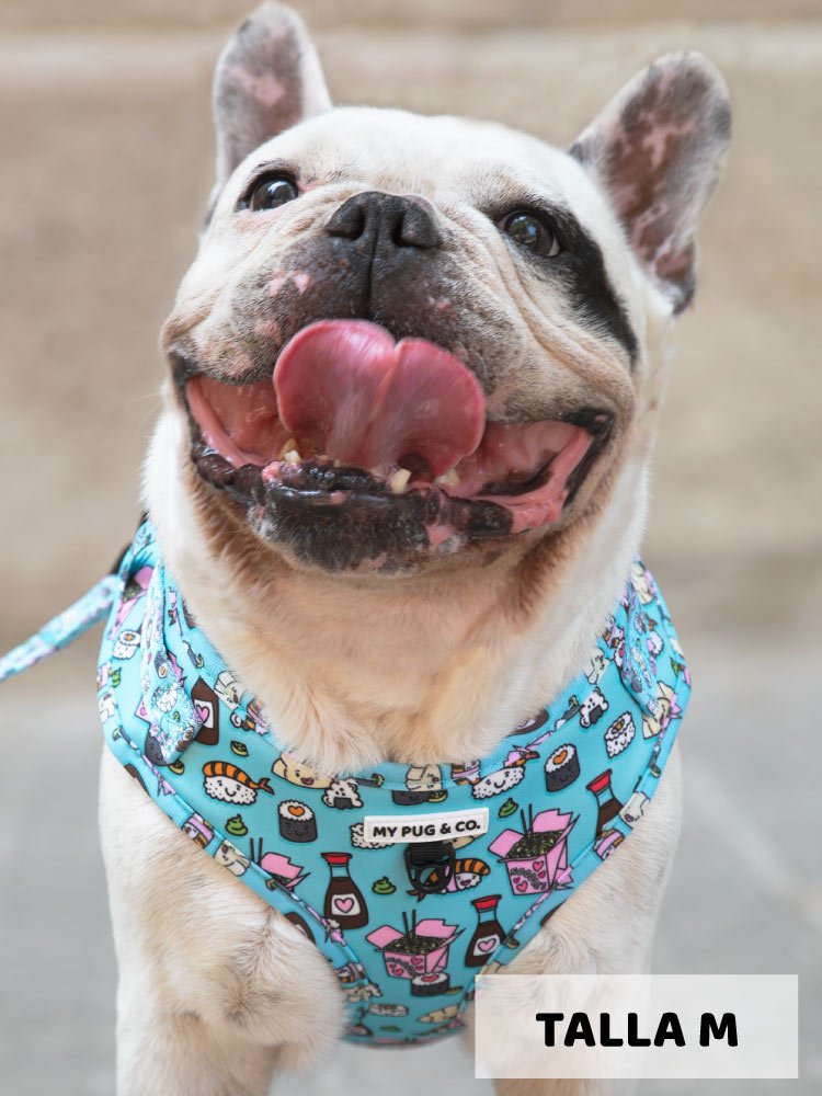 Arnés Ajustable Sushi - MyPug&Co