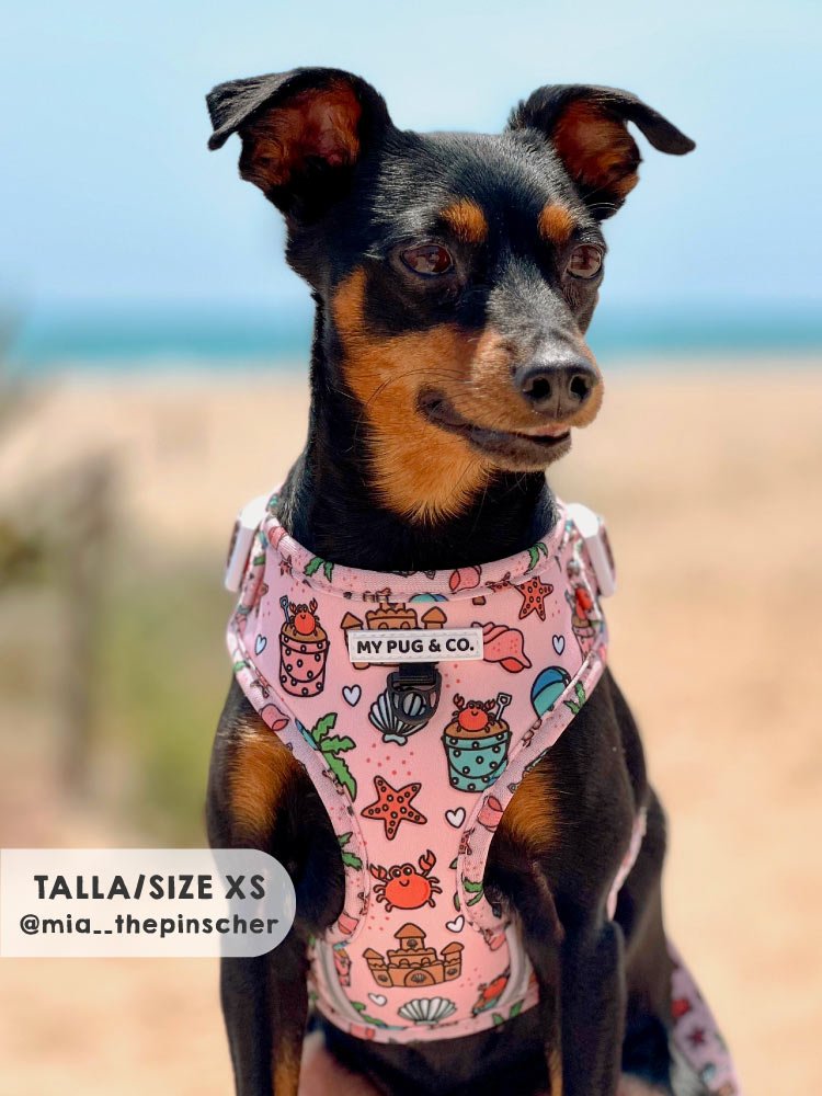 Arnés Ajustable Beach Day - MyPug&Co
