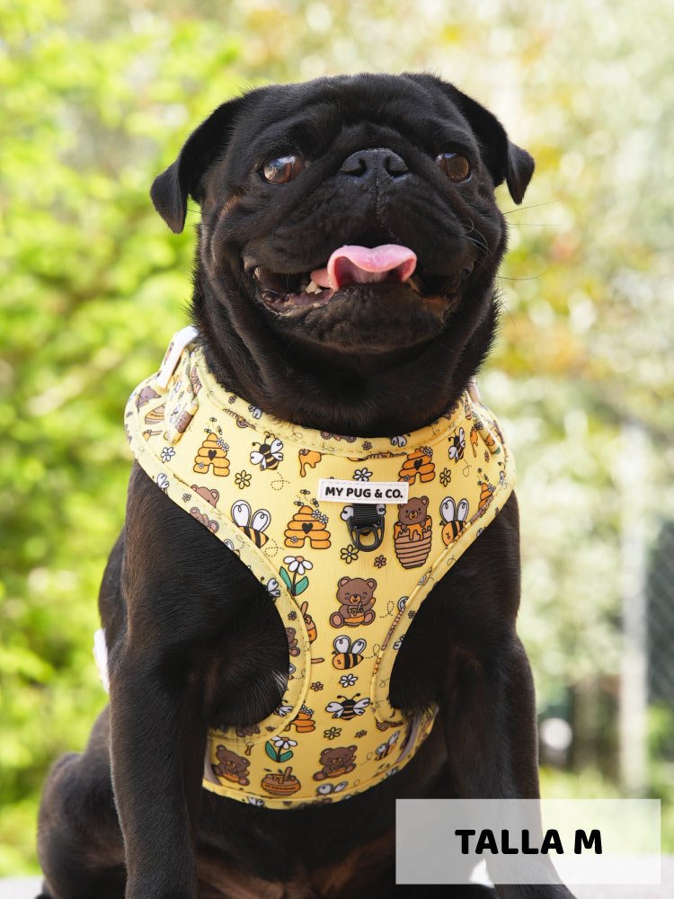 Arnés Ajustable Honey - MyPug&Co