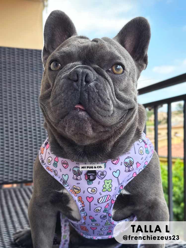 Arnés Ajustable Gominolas - MyPug&Co