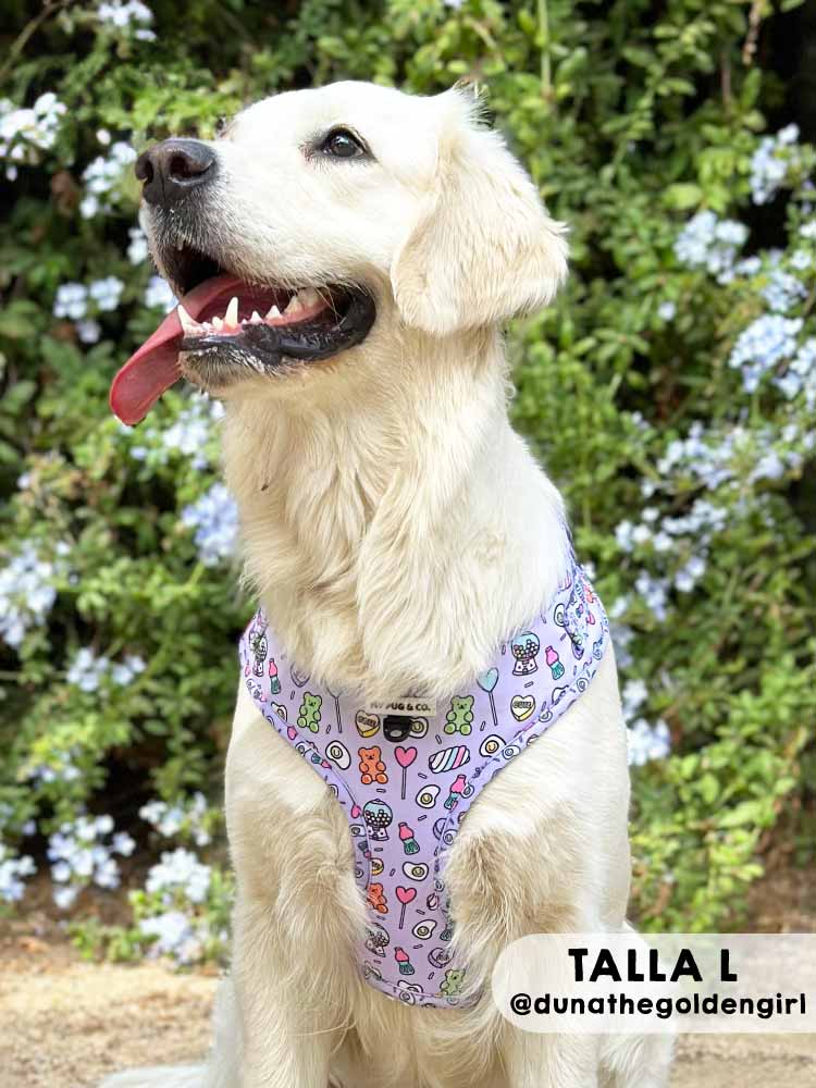 Arnés Ajustable Gominolas - MyPug&Co