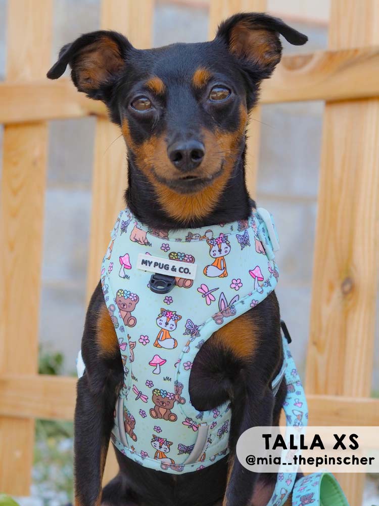 Arnés Ajustable Lovely Forest - MyPug&Co