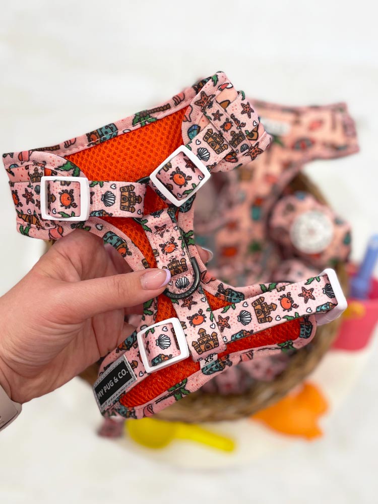 Arnés Ajustable Beach Day - MyPug&Co