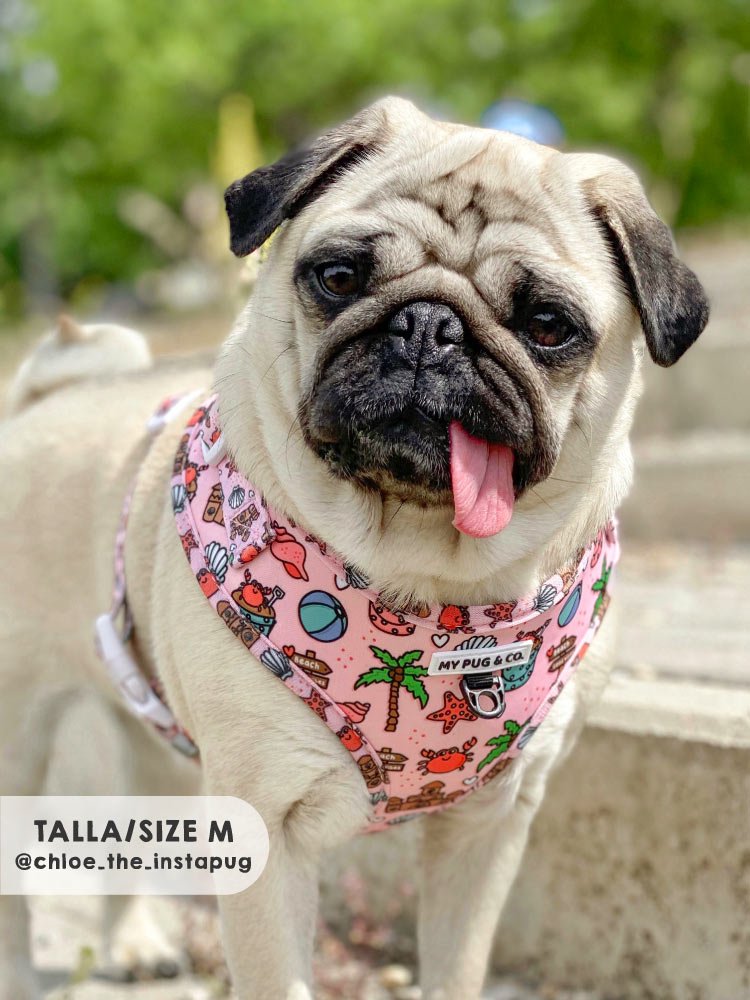 Arnés Ajustable Beach Day - MyPug&Co