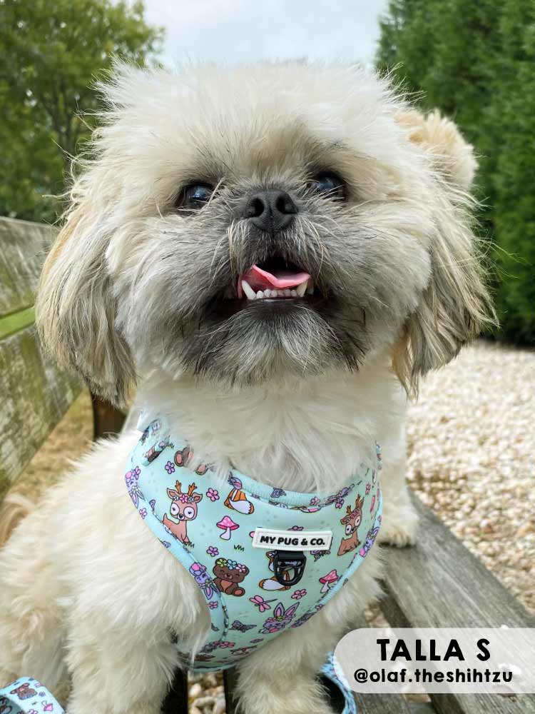 Arnés Ajustable Lovely Forest - MyPug&Co