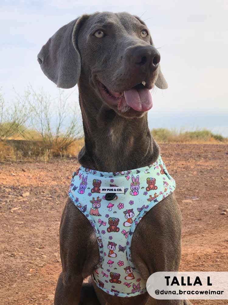 Arnés Ajustable Lovely Forest - MyPug&Co