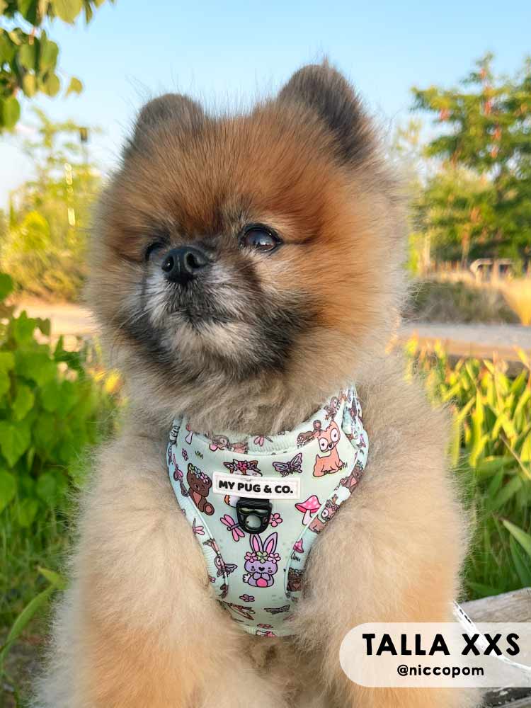 Arnés Ajustable Lovely Forest - MyPug&Co