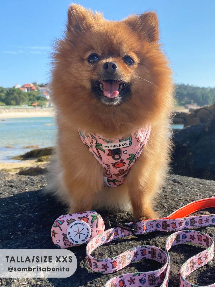 Arnés Ajustable Beach Day - MyPug&Co